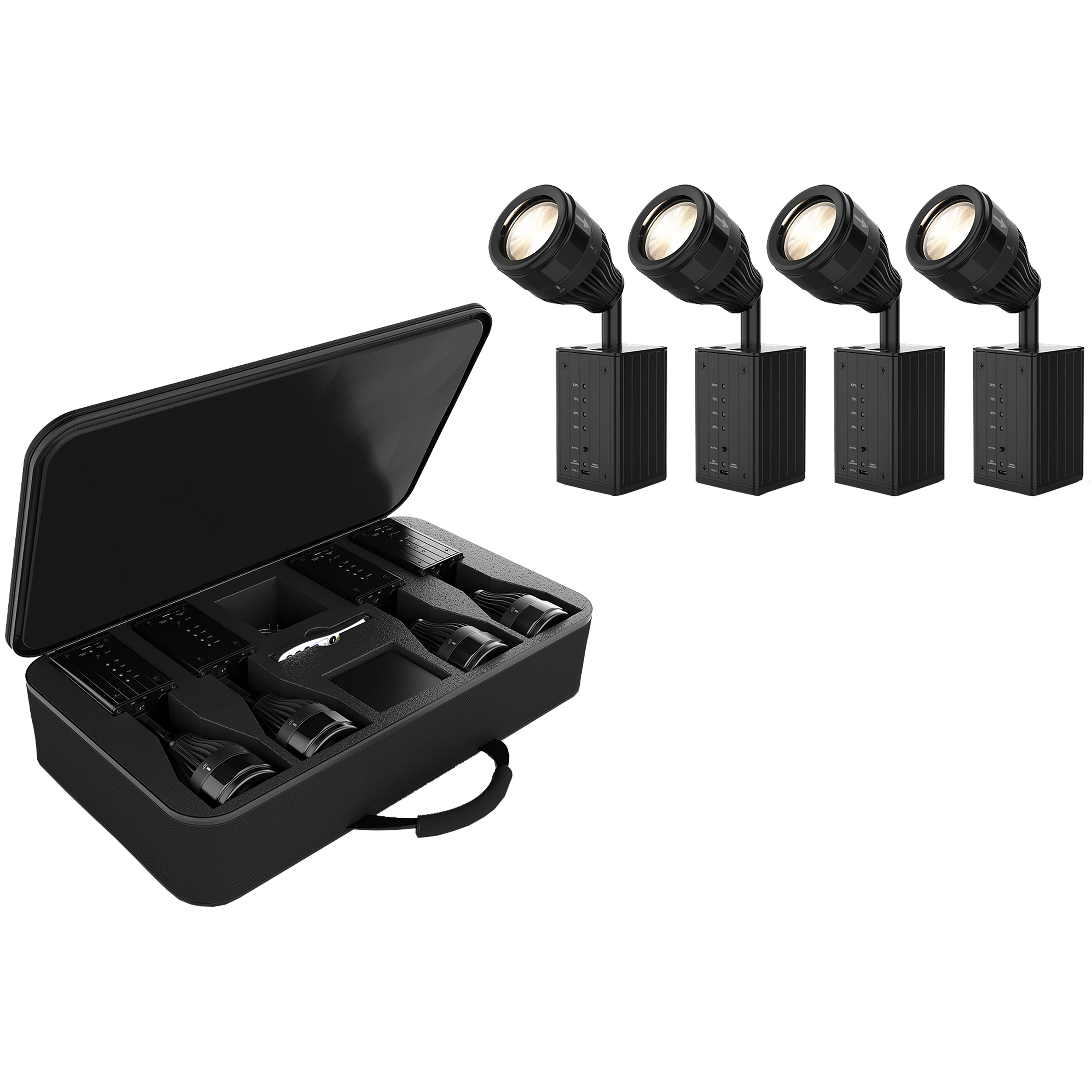 Chauvet DJ EZpin Zoom Pinspot 4-Pack